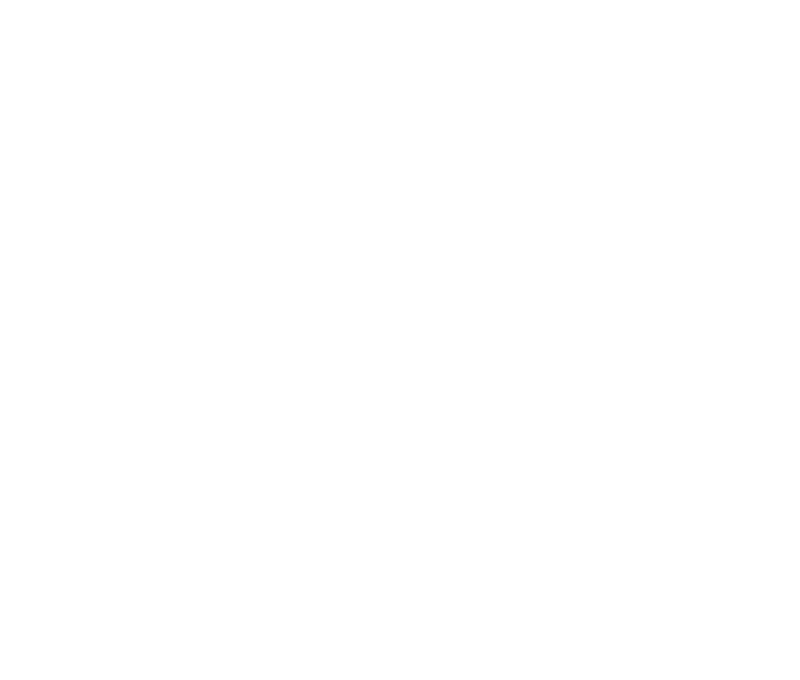 Lysaght Steel