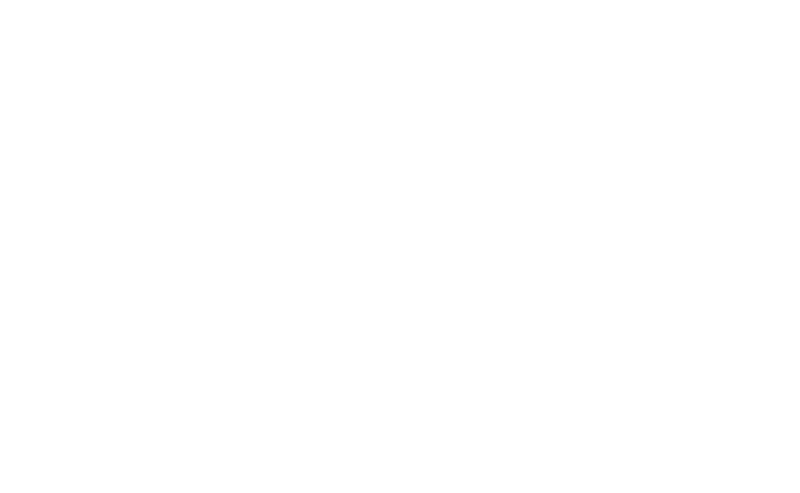 BlueScope